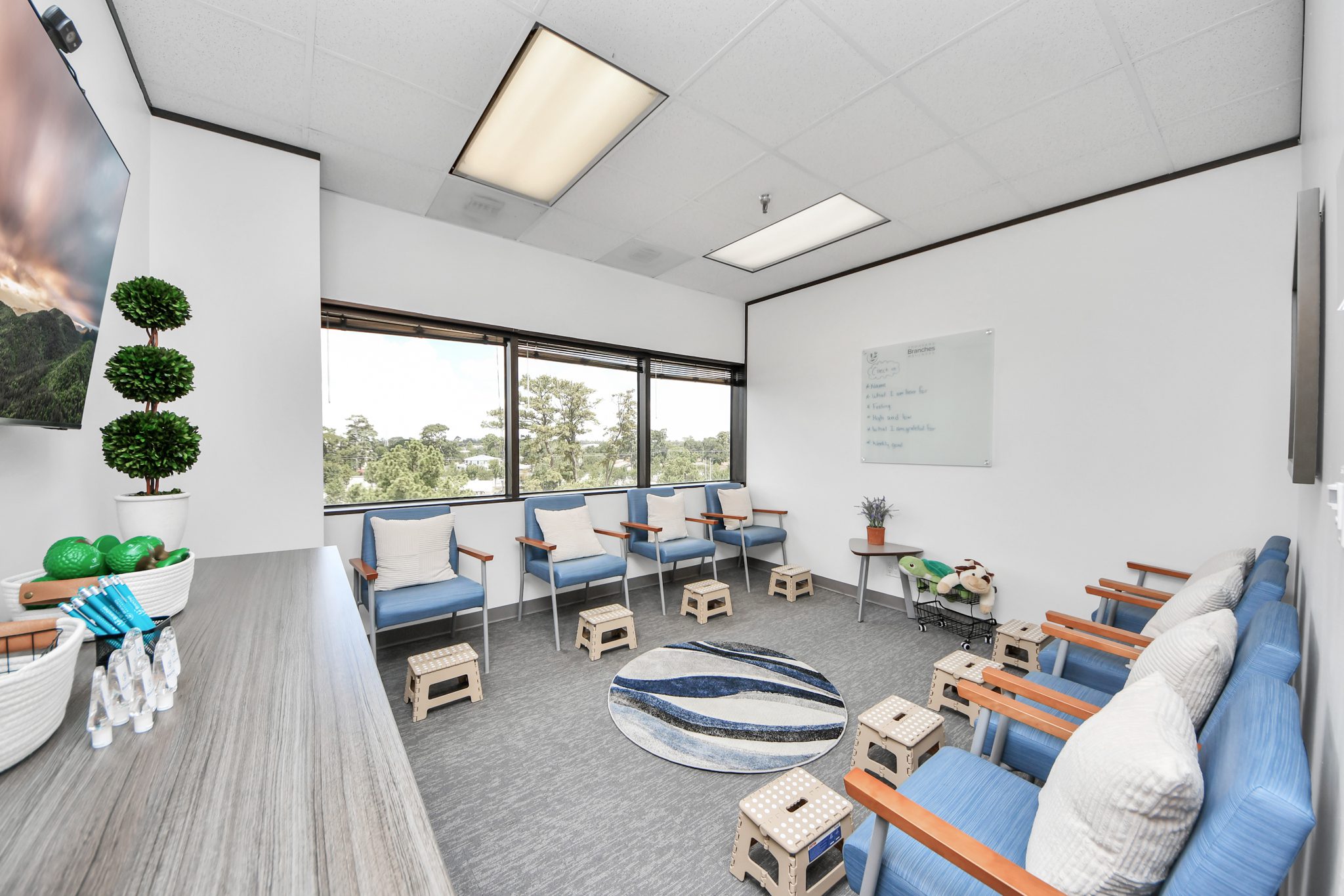 Thousand Branches Wellness Houston - interior group room