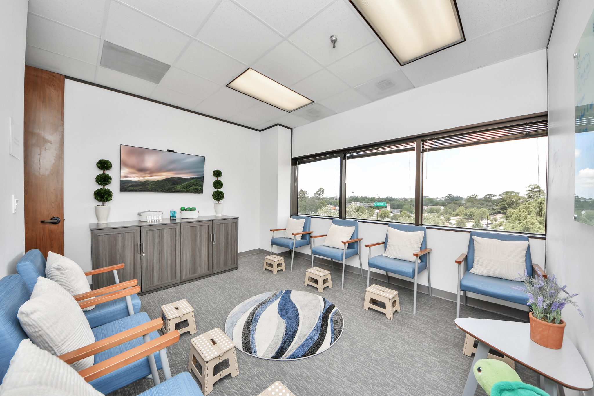 Thousand Branches Wellness Houston - interior group room