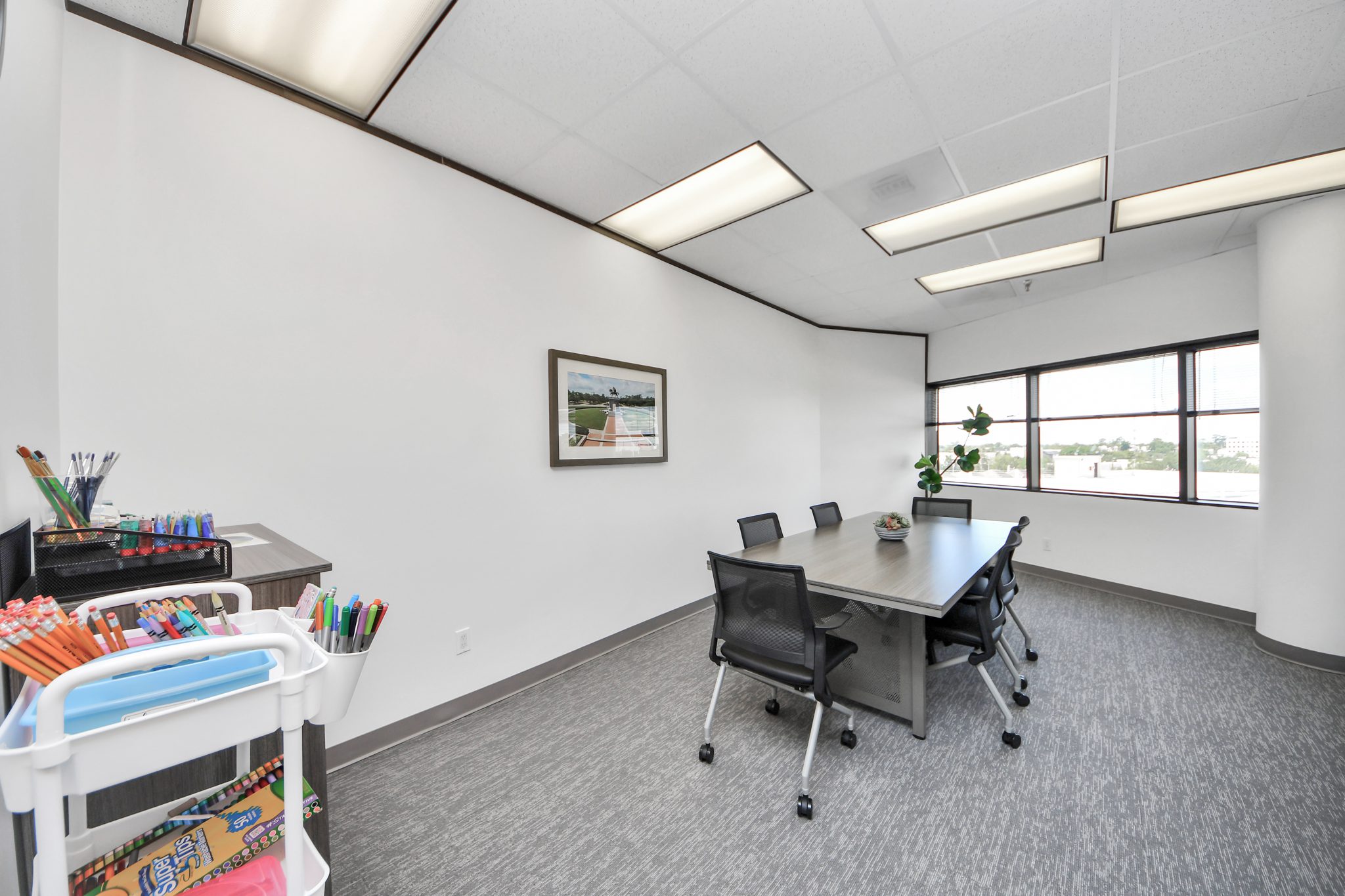 Thousand Branches Wellness Houston - interior conference room