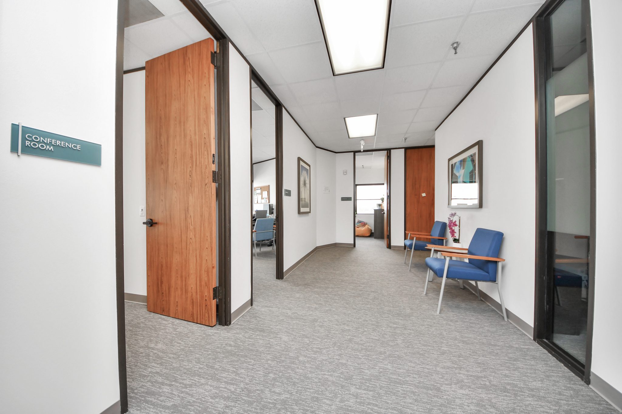 Thousand Branches Wellness Houston - interior hallway