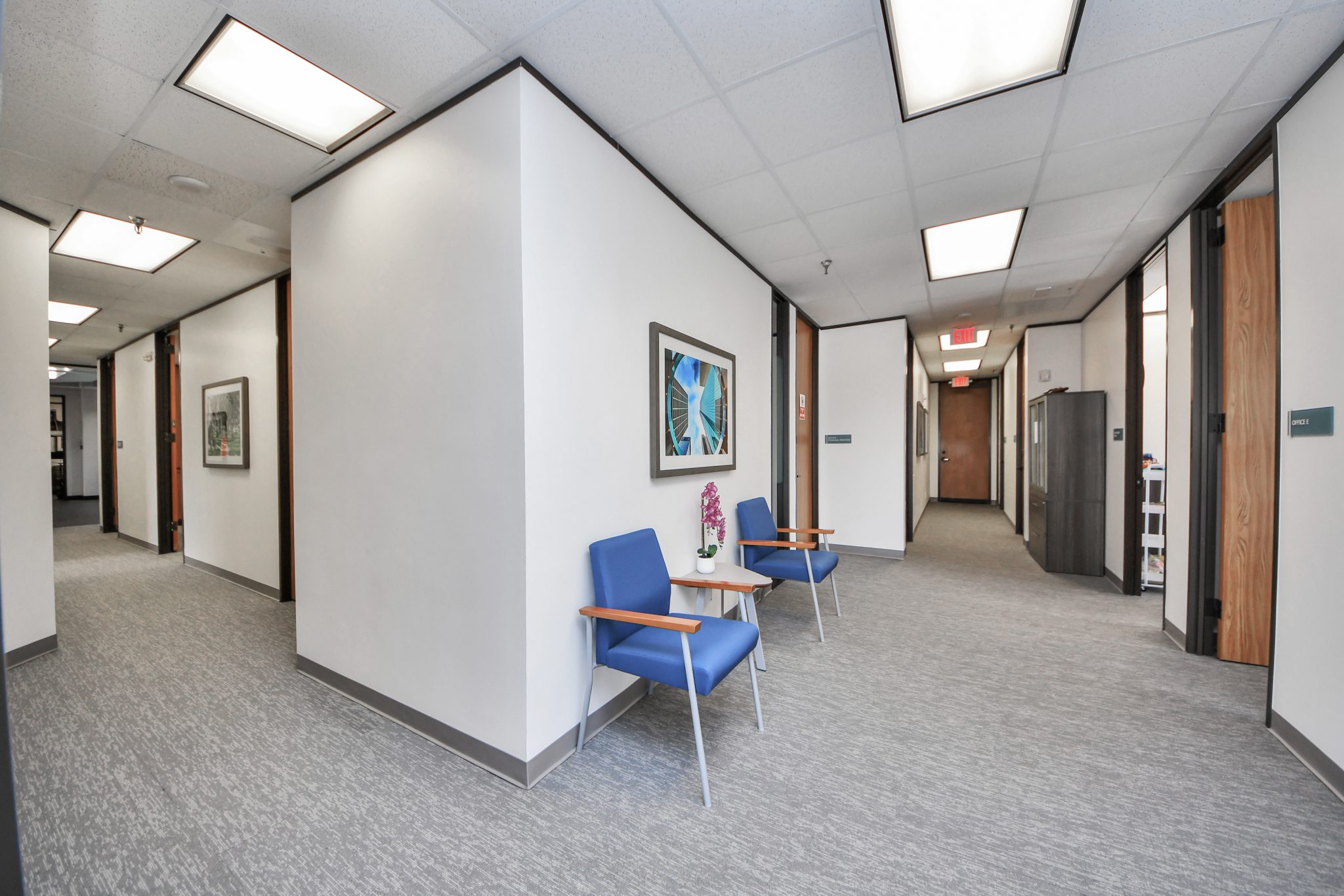 Thousand Branches Wellness Houston - interior hallway