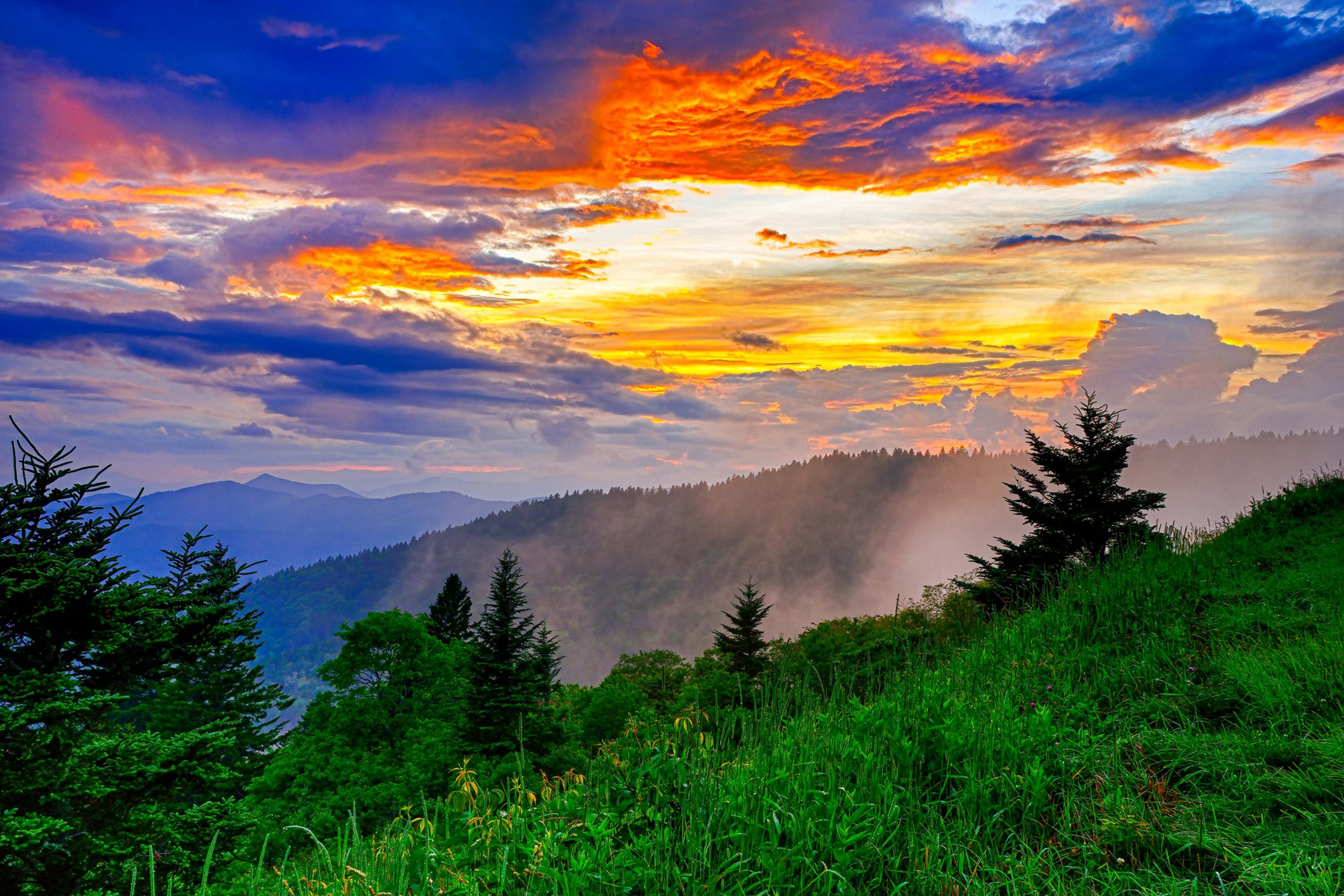 Virtual Mental Health Services in North Carolina