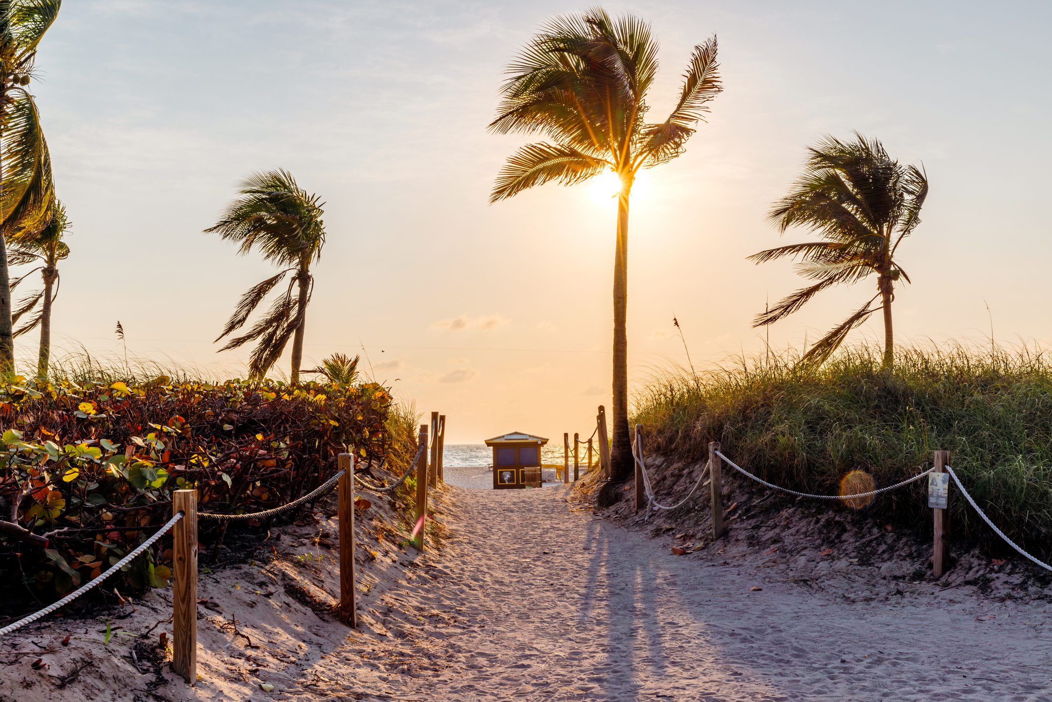Virtual Mental Health Services in Florida