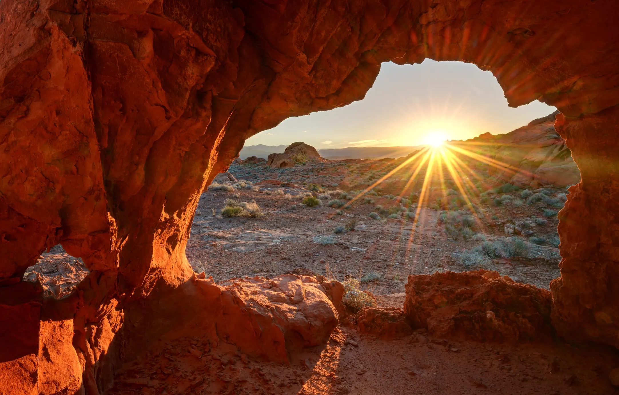 Virtual Mental Health Services in Nevada